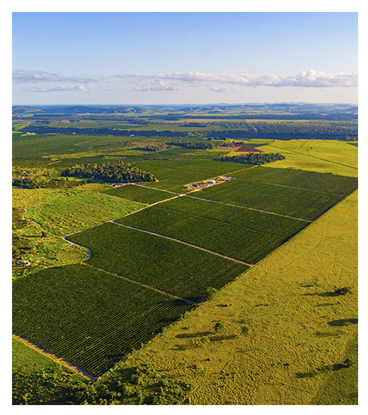 fazenda fazenda